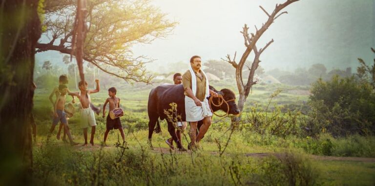 ഹണി റോസിൻ്റെ റേച്ചൽ ഡിസംബർ 12-ന്