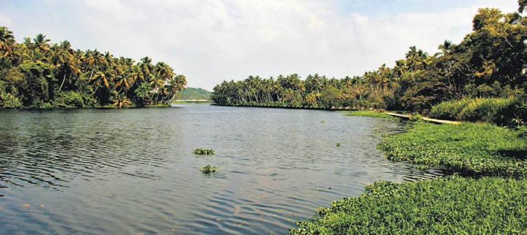 പാർവ്വതി പുത്തനാർ, ആക്കുളം കായലുകളിലെ കുളവാഴ നീക്കാൻ നടപടി, Akkulam Kayal Akkulam Lake Akkulam Tourist Village Akkulam Lake Trivandrum Akkulam backwater Akkulam Kayal Thiruvananthapuram, Akkulam Tourist Village Trivandrum Akkulam Lake boating Places to visit in Akkulam Akkulam adventure park Akkulam Tourist Village entry fee Akkulam Lake picnic spot Akkulam glass bridge Akkulam sunset view, Akkulam Lake near Trivandrum Akkulam Kayal Trivandrum Akkulam Tourist Village Thiruvananthapuram Akkulam 10 km from Trivandrum Akkulam near Veli Tourist Village, Boating in Akkulam Lake Akkulam children's park Akkulam swimming pool Akkulam Air Force Museum Akkulam cycling park Akkulam adventure activities Family picnic Akkulam Kayal, Akkulam Lake latest news Akkulam Lake rejuvenation Akkulam Kayal 2026 Akkulam Tourist Village open Akkulam Lake degradation OR pollution news, Best things to do in Akkulam Tourist Village Trivandrum Akkulam Lake boating charges and timings Akkulam Tourist Village family day out How to reach Akkulam Kayal from Trivandrum Akkulam Lake sunset photography spots Akkulam adventure park zipline Burma bridge Akkulam Tourist Village reviews 2026 Picnic spots near Trivandrum Akkulam Lake Akkulam Kayal backwater experience, അക്കുളം കായൽ, അക്കുളം ടൂറിസ്റ്റ് വില്ലേജ് അക്കുളം തടാകം തിരുവനന്തപുരം അക്കുളം ബോട്ടിംഗ് അക്കുളം അഡ്വഞ്ചർ പാർക്ക് തിരുവനന്തപുരം അക്കുളം വാർത്ത അക്കുളം കായൽ സൂര്യാസ്തമയം